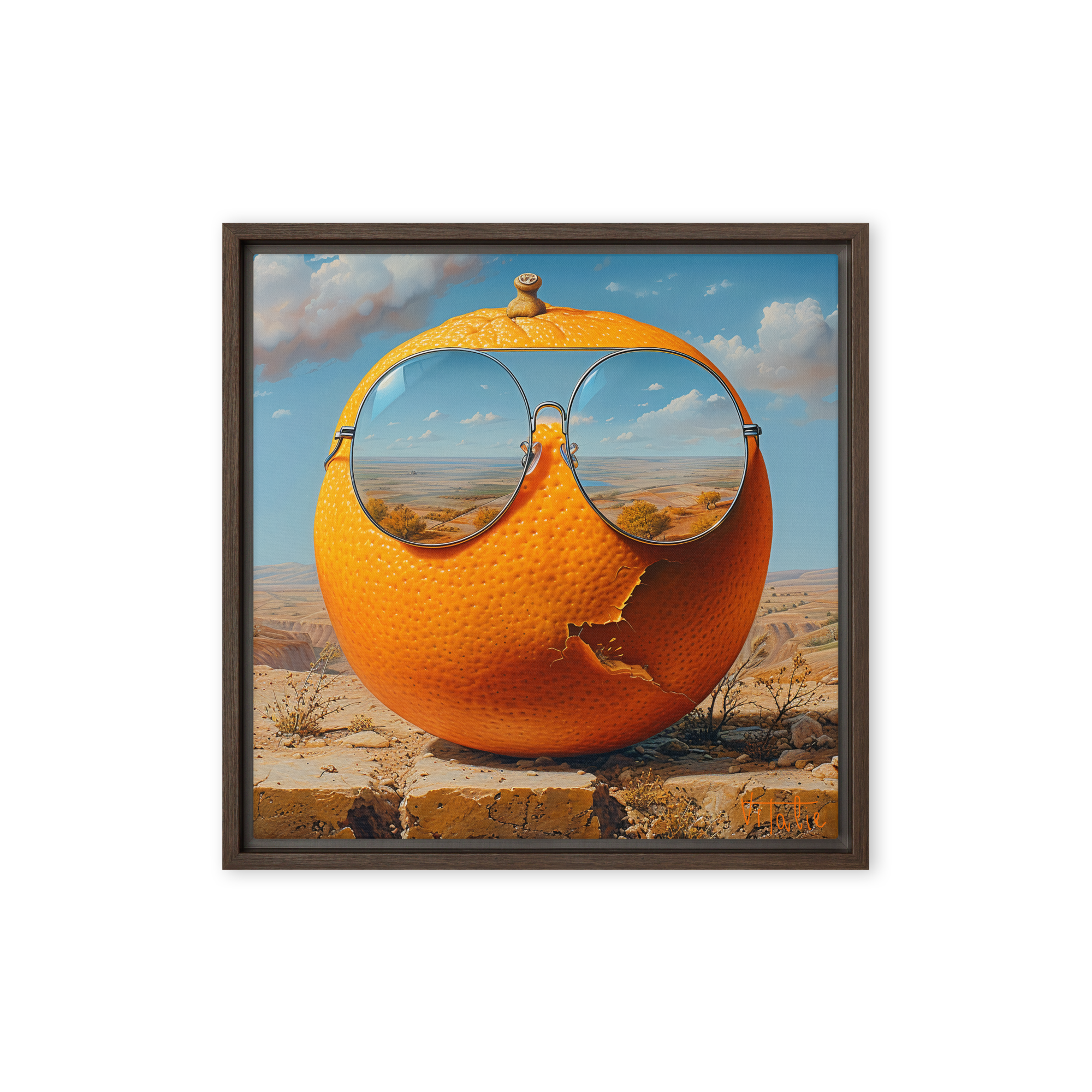 vision of the vitamin sea